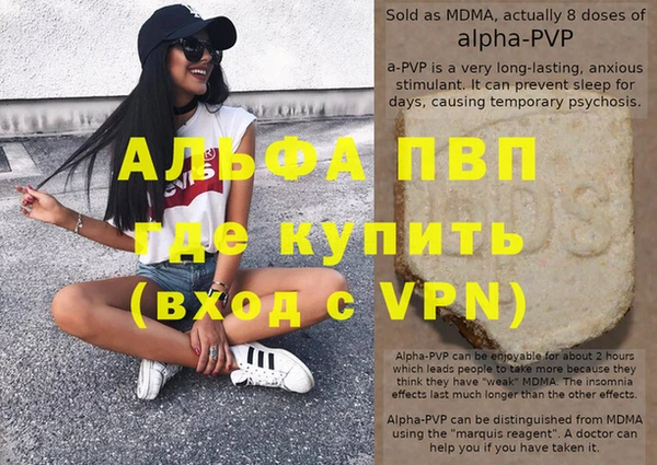PSILOCYBIN Ельня