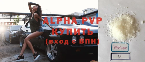 ГАЛЛЮЦИНОГЕННЫЕ ГРИБЫ Елабуга