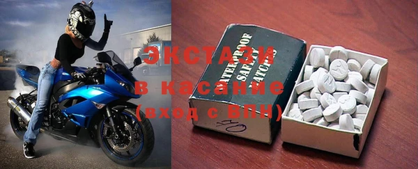 гидра Вяземский