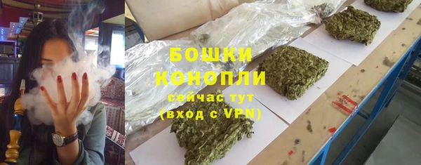 PSILOCYBIN Аркадак