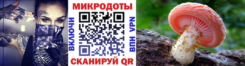 гидра как зайти  Межгорье  Псилоцибиновые грибы Psilocybine cubensis 